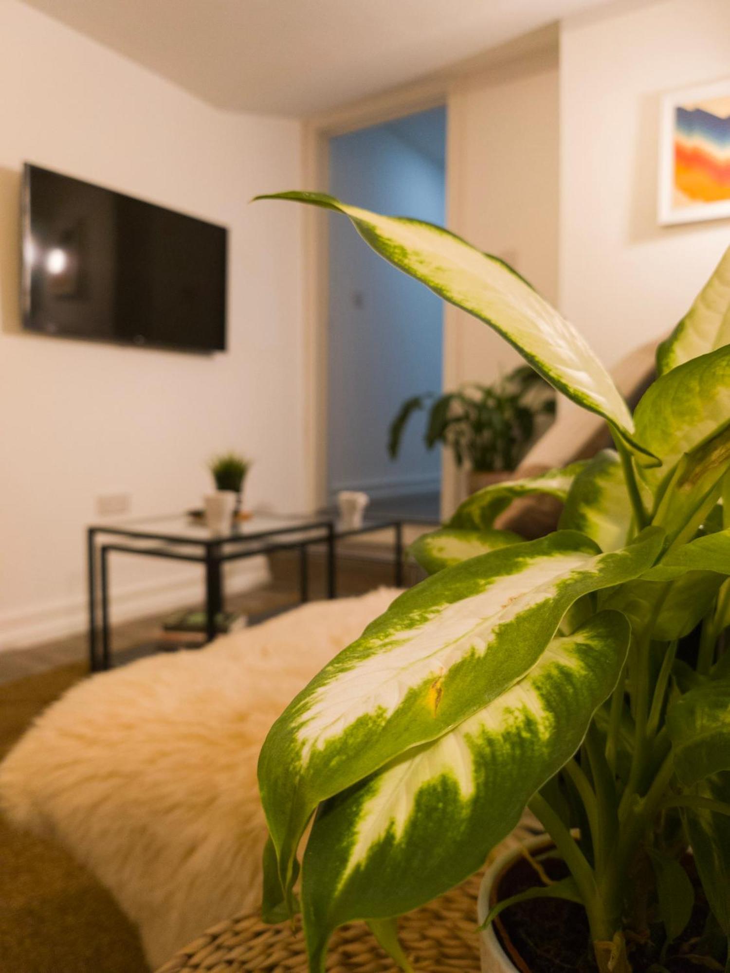 Plenty Of Parking Available; 3 Bedroom Apartment By Property Promise 卡迪夫 外观 照片